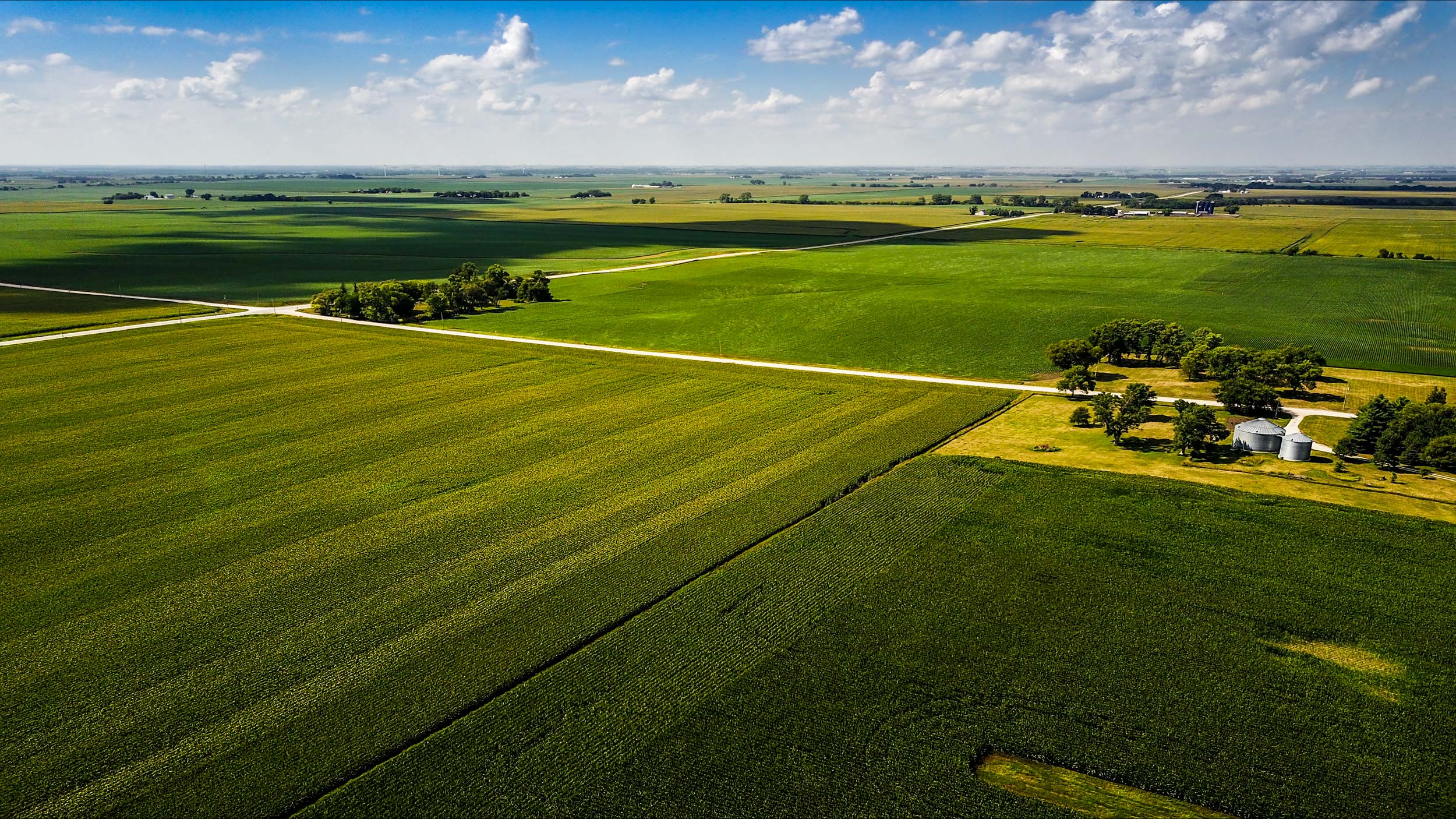 Aerial view of green cornfields in every direction | Scott Gable industrial photographer