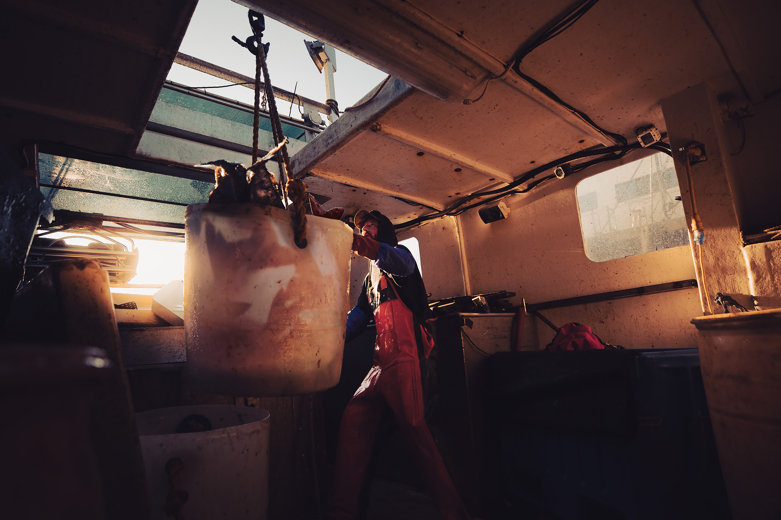OFF LOADING FISH COMMERCIAL FISHING SCOTT GABLE COMMERCIAL SCI TECH INDUSTRIAL PHOTOGRAPHER