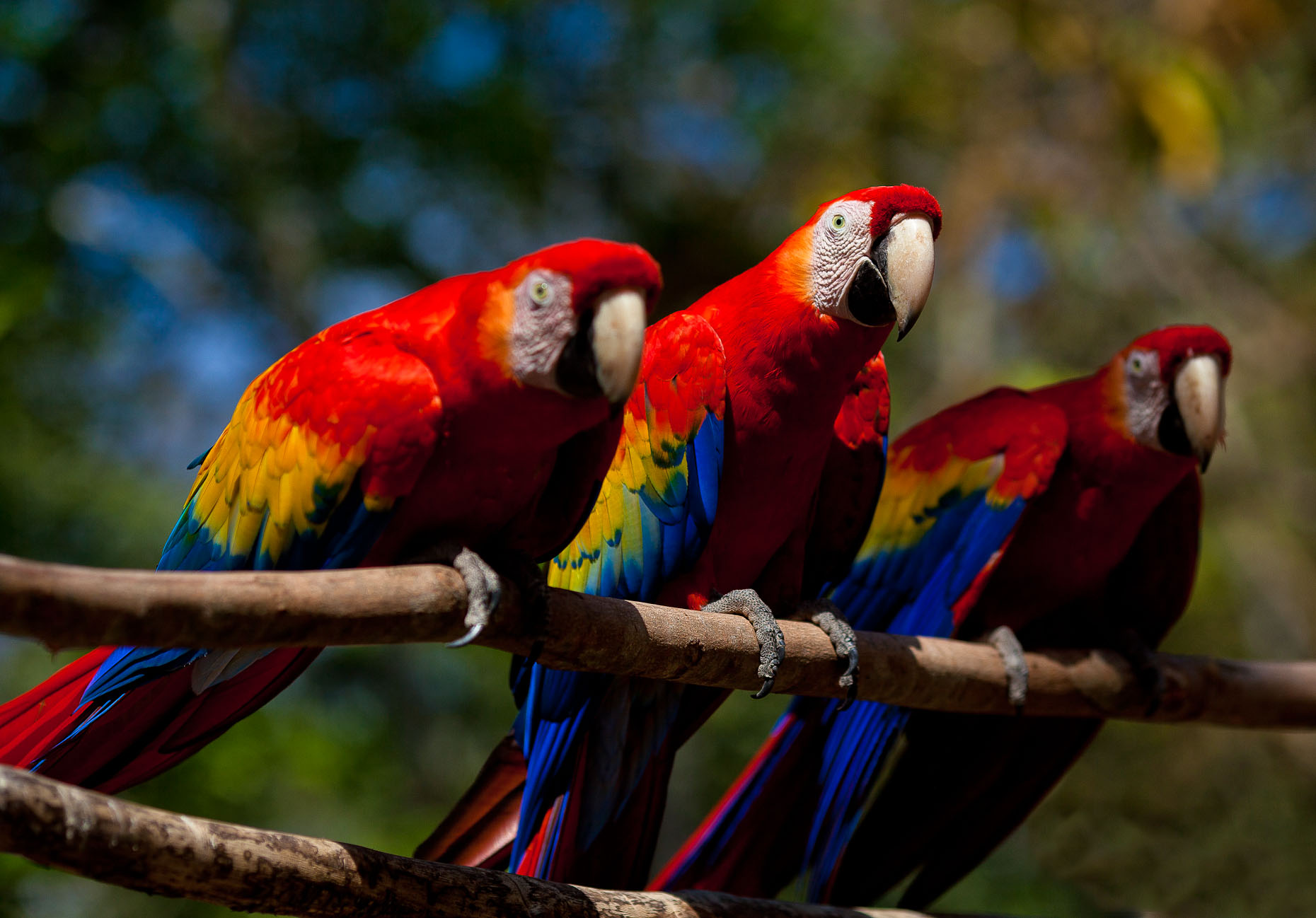 Central America Scott Gable