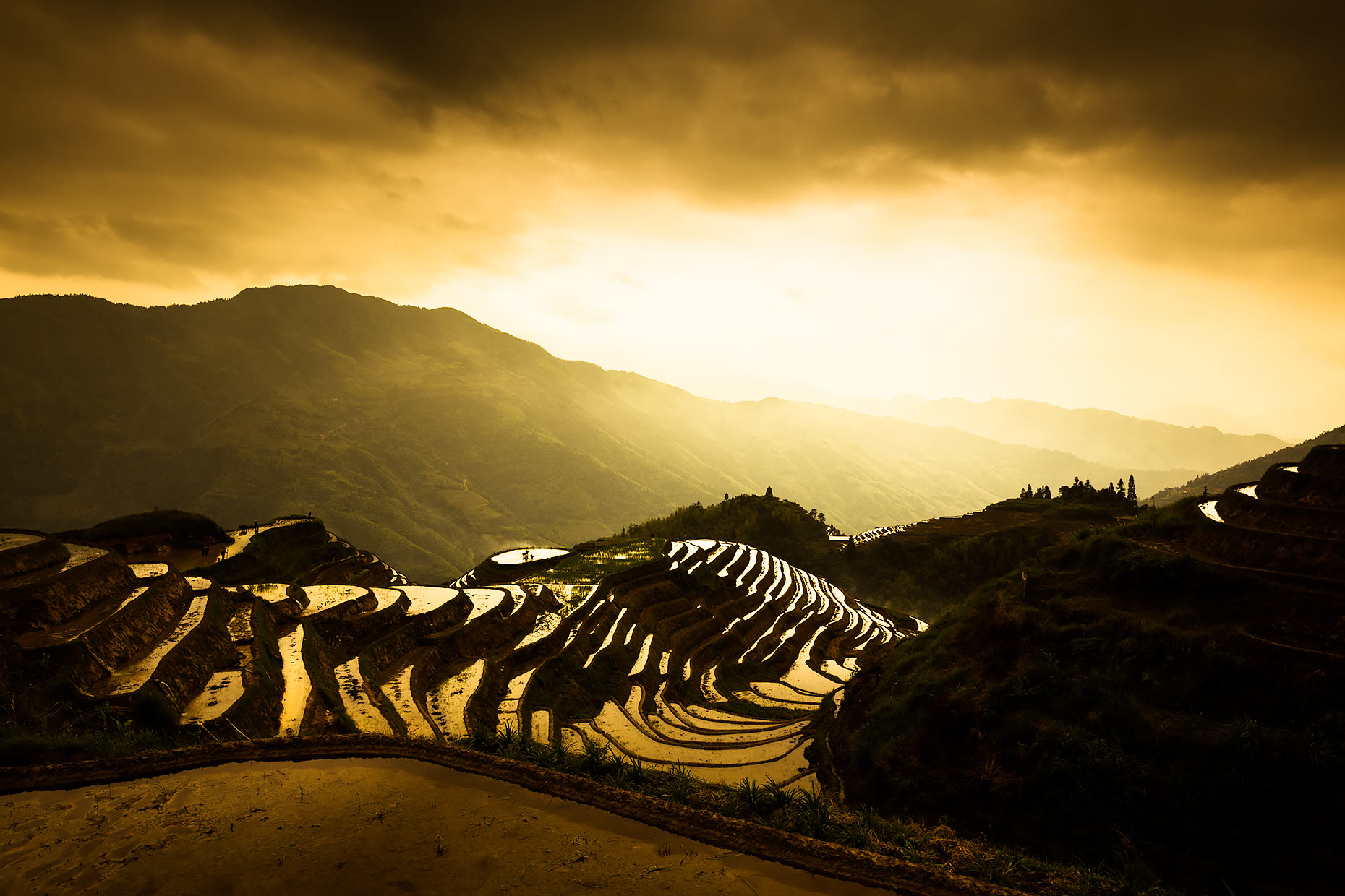 rice terraces southern china | Scott Gable is an advertising and editorial photographer providing photography and video to corporate, industrial, medical and bio-science clients worldwide.