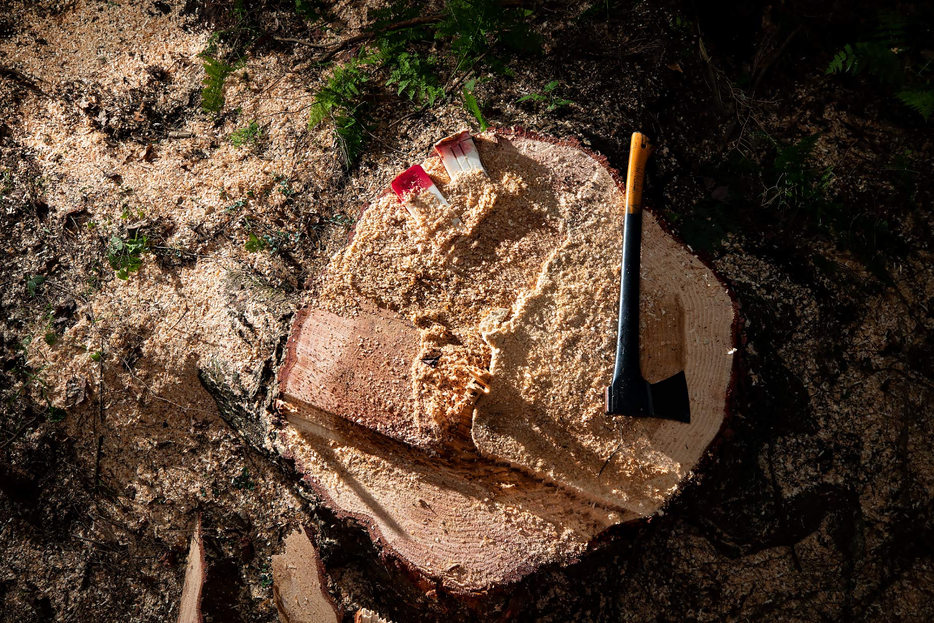 logging_tools_hatchet
