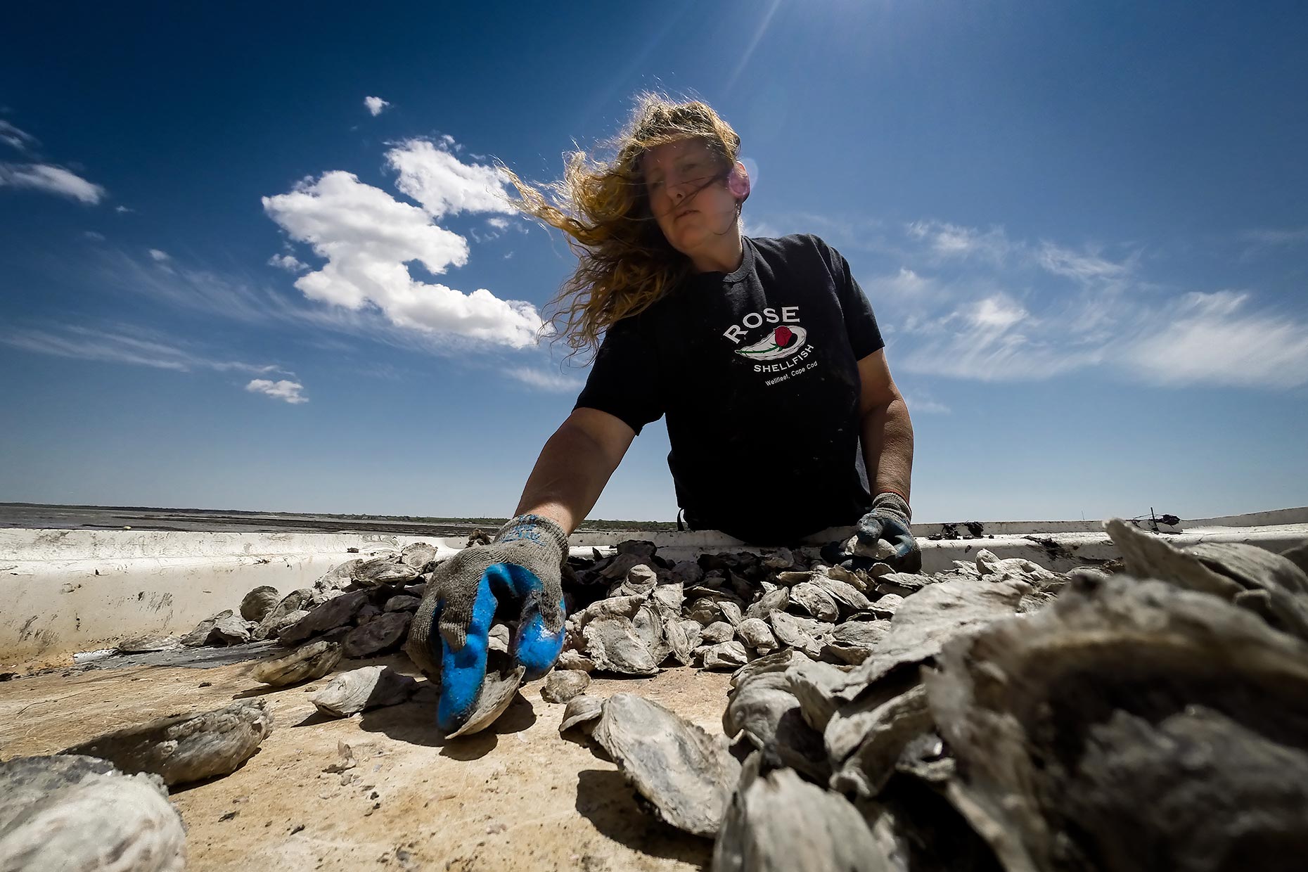 oyster-farm-sorting-table