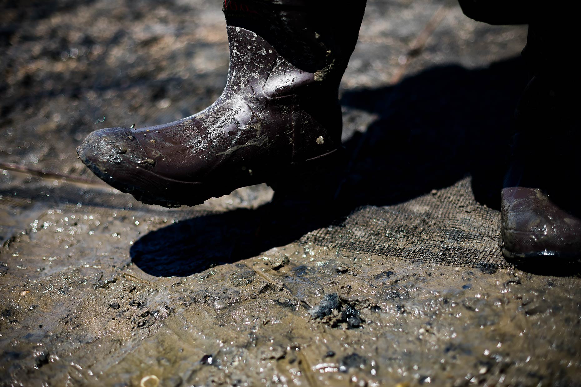oyster-farmer-boots-in-mud