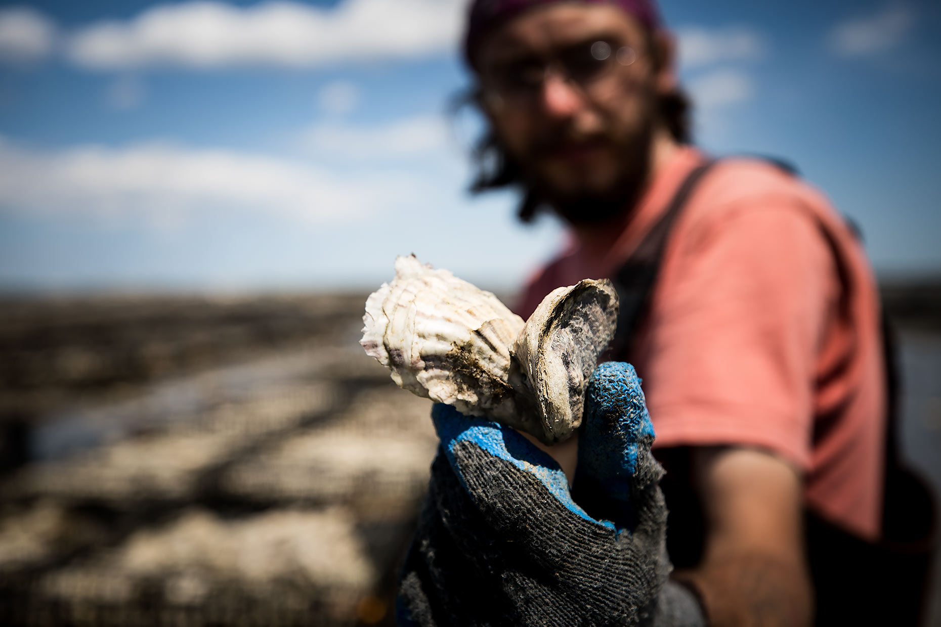 oyster-farmer-holding-oyster