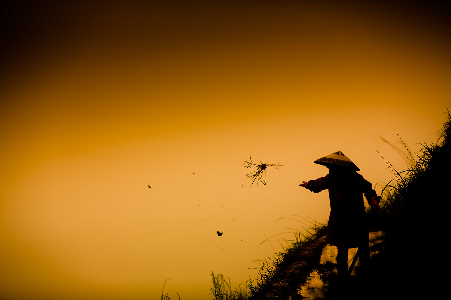 A Guangxi province highlands farmer clears a rice paddy | Scott Gable industrial photographer